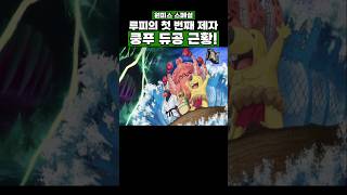 원피스) 루피의 첫 번째 제자 쿵푸 듀공 근황! #onepiece #원피스