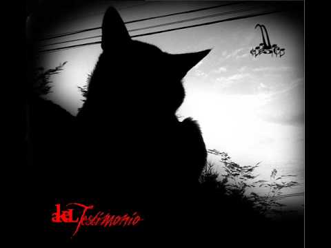 Cerokince - (Akel & Persso) - Nacemos llorando morimos riendo