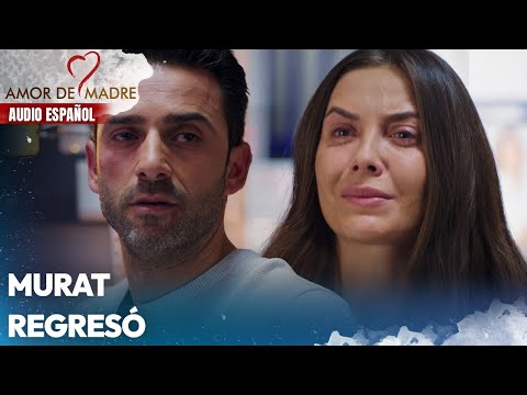 Murat regresó | Amor de Madre | Audio Español | Canım Annem