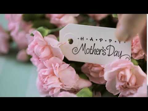 download lagu mp3 mp4 Mothers Day Carnation Meaning, download lagu Mothers Day Carnation Meaning gratis, unduh video klip Mothers Day Carnation Meaning