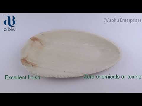 Biodegradable Disposable Areca Palm Leaf Oval Plate