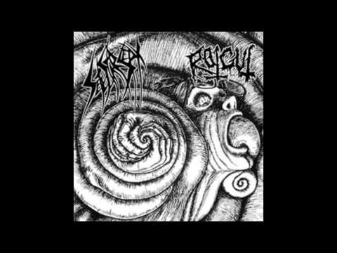 Rotgut/Sete Star Sept - Full split [2012]