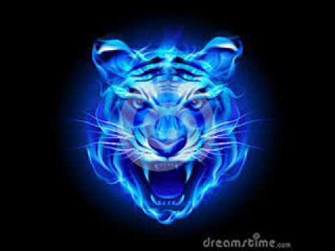 FireTigger - Best Dubstep 15 min (Original Mix)