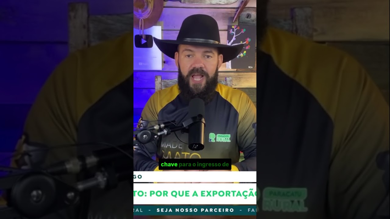 Sorgo no Porto: Por que a exportação está de olho no grão?