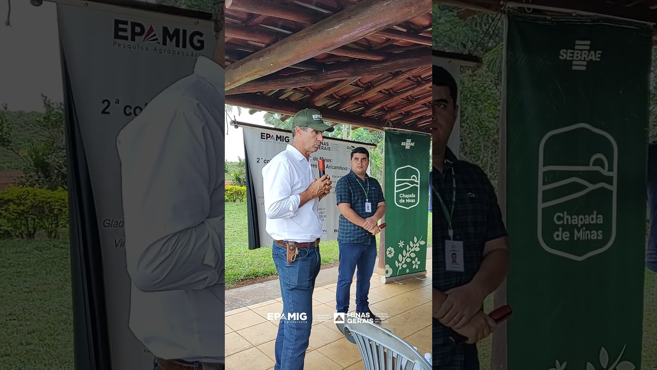 Projeto de Unidades Demosntrativas de Café Arábica