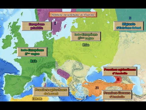 European identity: a story of genes?