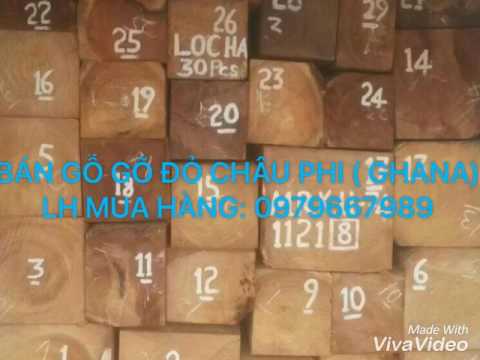 Bán buôn gỗ gõ đỏ châu phi ( Ghana) 0979667989