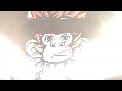 New D&B ID (Badboy Sound) & Back It Up - Dirt Monkey (Live @ Wakaan Fest 2019 - Day 2: 10/4)