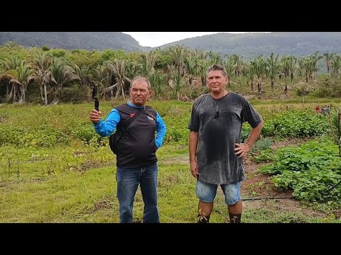 ÁGUA QUE VEM POR GRAVIDADE NA LAPA, GRAÇA CEARA.
