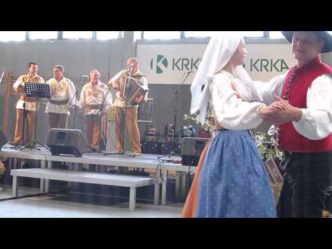 VANDROVCI-Divja kri (v živo)