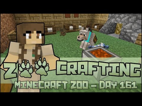 Deluxe Doggy Cabin & Amazing Gifts!! 🐘 Zoo Crafting: Season 2 - Episode #161
