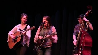 Pine Tree - Della Mae Live at the Freight &amp; Salvage