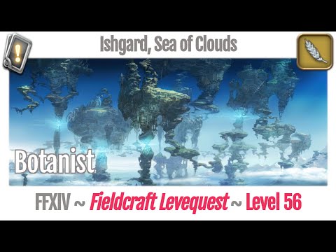 FFXIV Botanist Leves Level 56 - Ishgard, Sea of Clouds - Heavensward