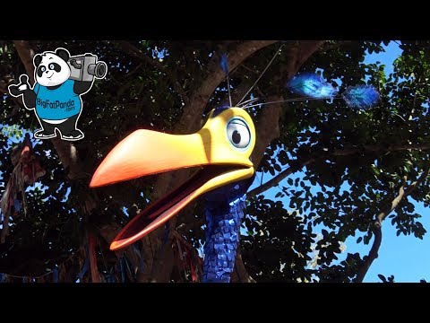 download lagu mp3 mp4 Movie Up Bird Name, download lagu Movie Up Bird Name gratis, unduh video klip Movie Up Bird Name