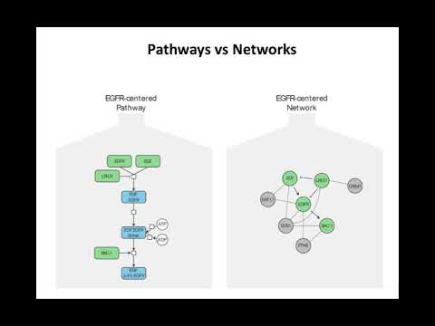 Variants to Networks