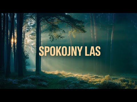 Dźwięki Natury – Spokojny Las | Relaks, Medytacja, Sen | 30 Minut