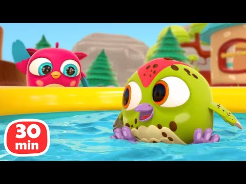 HopHop die Eule Kompilation 30 Minuten. Lehrreiche Cartoons für Kleinkinder