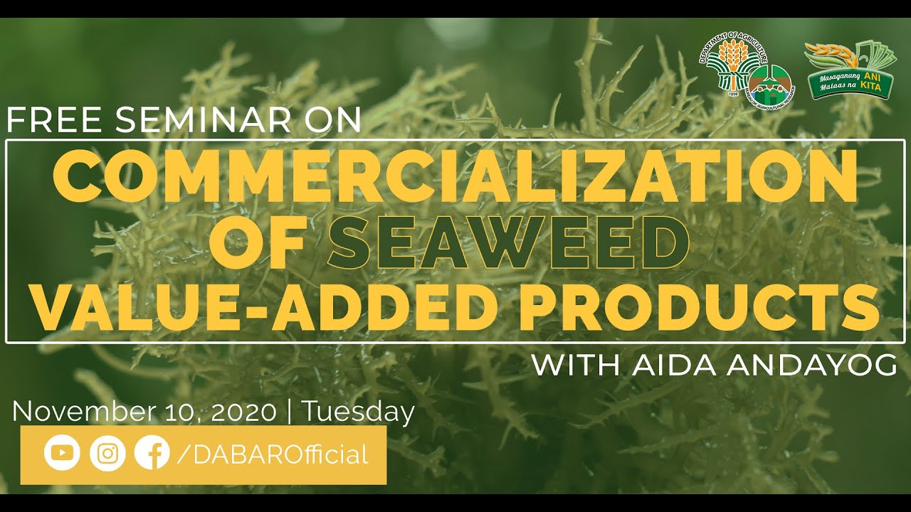 Commercialization of Seaweed Value-Added Products