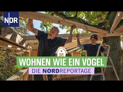 Traumhaus in luftiger Höhe | Die Nordreportage | NDR