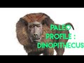 Paleo Profile Dinopithecus