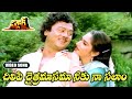 CHILIPI CHETRA MASAMA NIKU NA VIDEO SONG SARDAR KRISHNAM RAJU JAYA PRADA TELUGU CINE CAFE