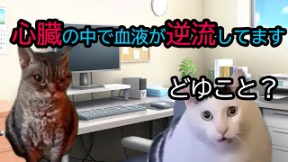 【猫ミーム】健康診断を受けたら血液が逆流していたお話です　#猫ミーム