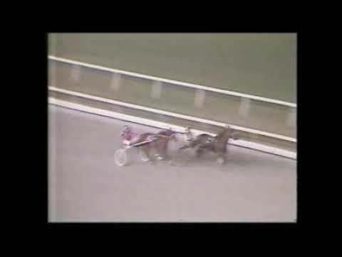 1979 Meadowlands Pace HOT HITTER Herve Filion 1st Elimination Joe DeFrank
