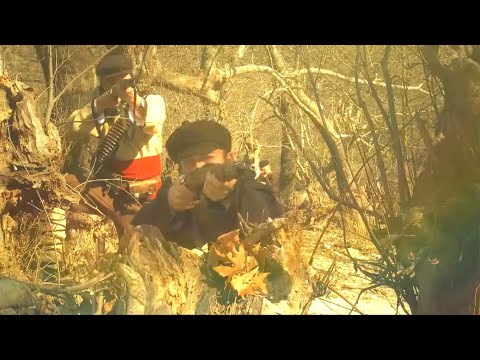 Бапчорки - Песна за Лазар Поп Трајков / Bapcorki - Pesna za Lazar Pop Trajkov / Песна од Егејот