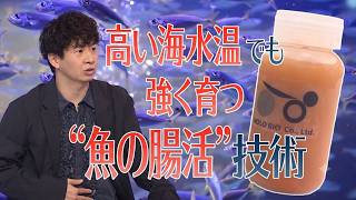 魚が“腸活”で強く大きくなる！？海水温上昇に立ち向かう父娘の挑戦！【アンパラレルド】