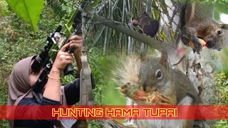 Download lagu HUNTING TUPAI DI KEBUN SAWIT‼️FULL HUNTING DENGAN SNIPER CANTIK mp3 Download lagu HUNTING TUPAI DI KEBUN SAWIT‼️FULL HUNTING DENGAN SNIPER CANTIK mp3