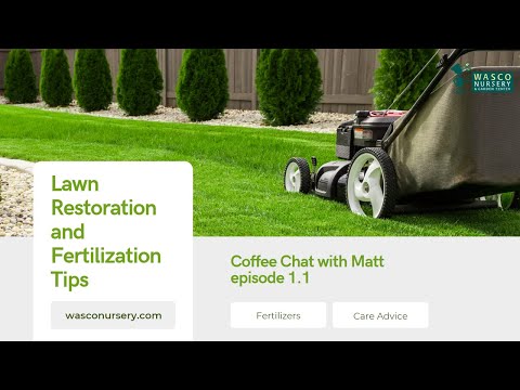 Lawn Restoration and Fertilization Tips for Northern Illinois 2023