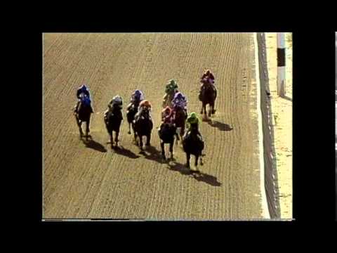 Bet Twice - 1987 Belmont Stakes
