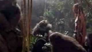 Download lagu TARZAN mp3