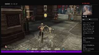 FFXIITZA トロフィー回収したい