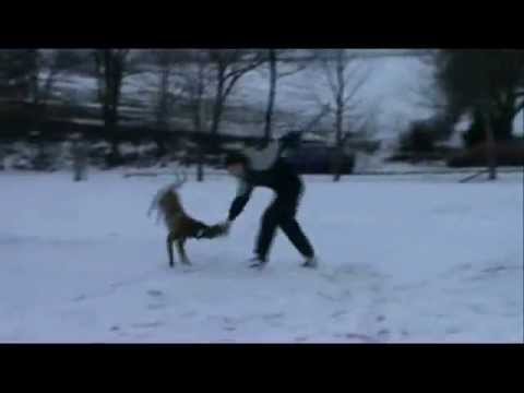 Exi z Hückelovy vily - protection - 22 months