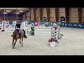 Super Hongre de 9 ans par Untouchable 27// Quidam de revel 
