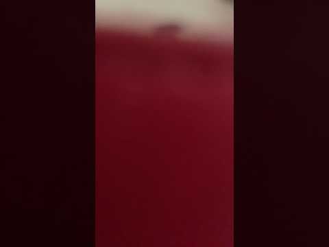 Seasons in the sun, flute cover