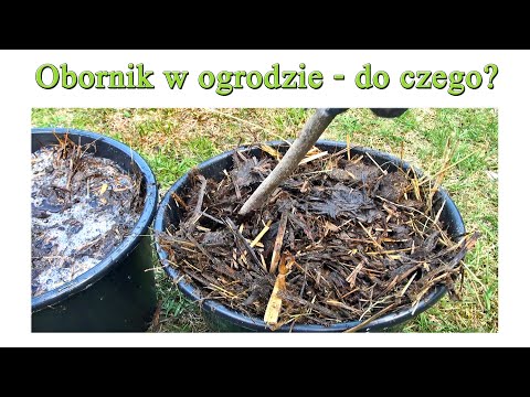 Obornik w ogrodzie - do czego wykorzystać owczy nawóz?