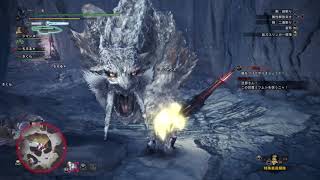 熟練の初心者がアイスボーン初見プレイpart22～終の白騎士編～
