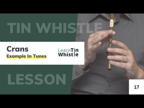 Tin Whistle Crans - Blarney Pilgrim & Christmas Eve