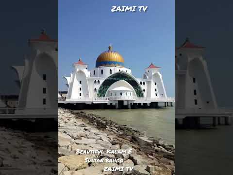 Heart Touching Beautiful Kalaam-e-Sultan Bahoo #pakistan #reels #hd #kalaam #beautiful