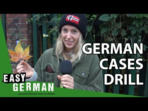 German Cases Drill (Nominative + Accusative) | Super Easy German (121)