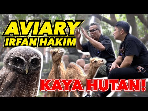 ABDEL VLOG - MASA DI DALEM RUMAH ADA UNTA!?