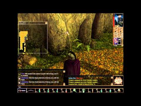 Let's Play Neverwinter Nights Co-op part 141