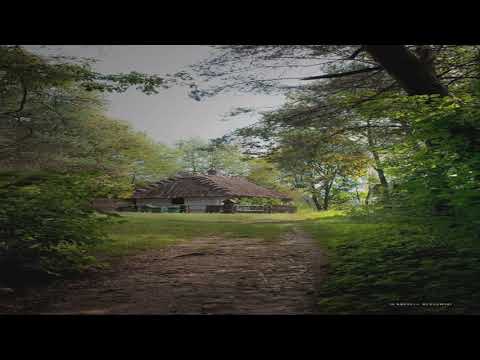 Vino tinere,  cu Isus fi prieten bun  -  SSHorj