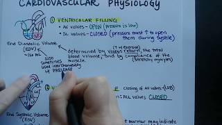 Cardiac Cycle | Cardiovascular Physiology