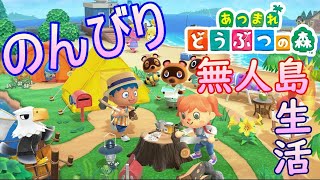 【あつ森】流星群！【あつまれどうぶつの森】