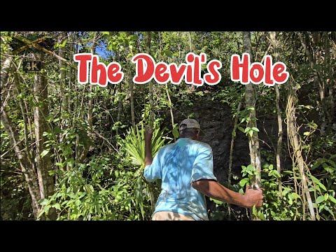 In persuit of the (Devil's hole) ramble manchester, they say its curse  # jamaica #sinkhole #holes