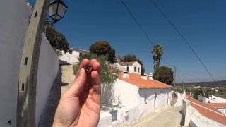 How to hold a red-yellow-black marble