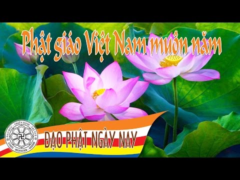 Gia đình Phật tử Việt Nam